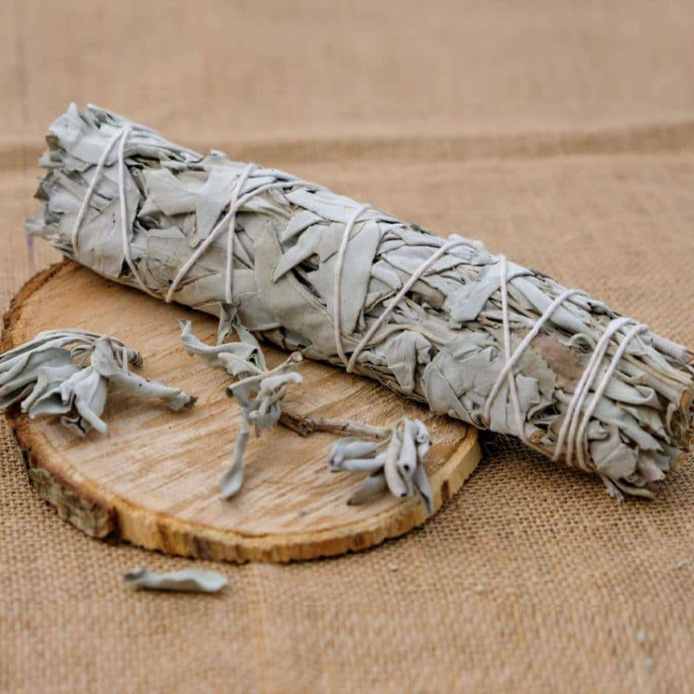 Bâton de Sauge Blanche